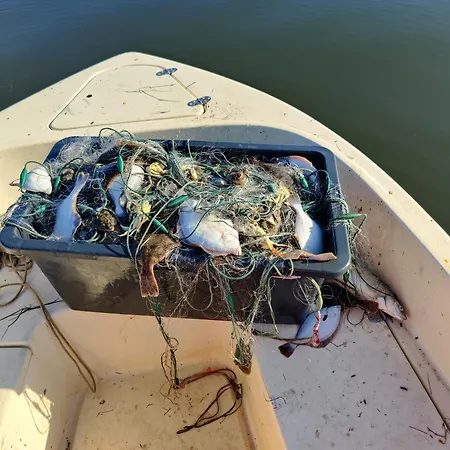 度假居 Villa-amby 灵克宾