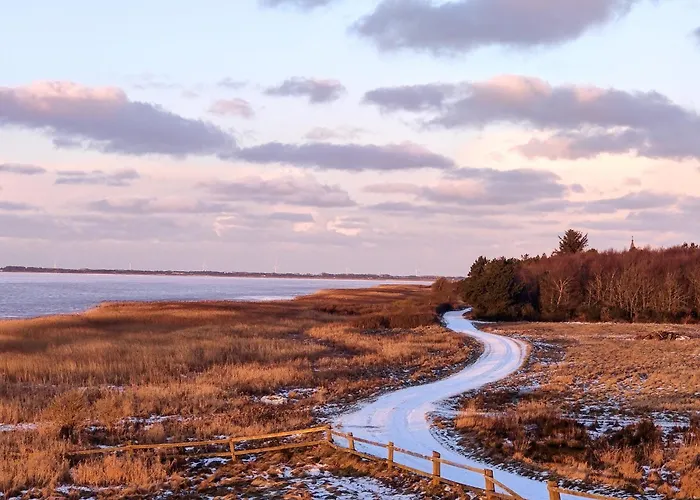 Villa-amby Ringkobing