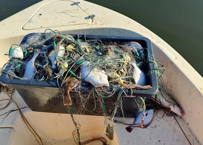 Holiday home Villa-amby Ringkobing